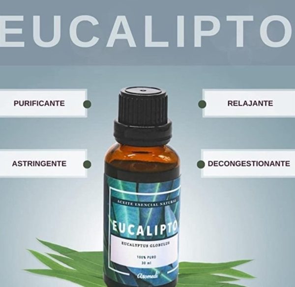 Aceite esencial eucalipto